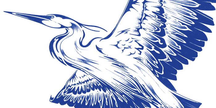 website\_banner Heron