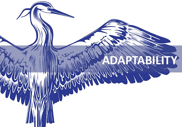Adaptability