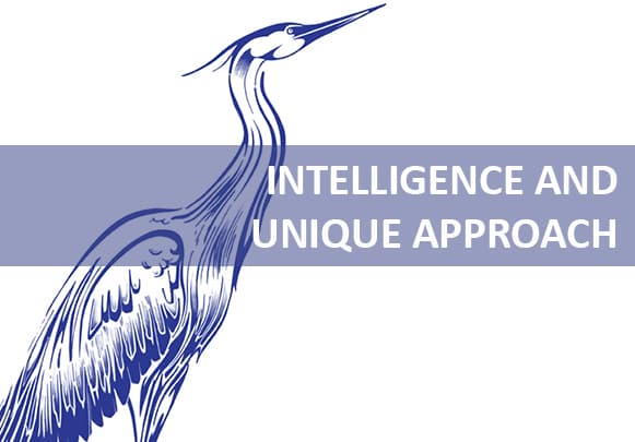 Intelligence and a unique approach